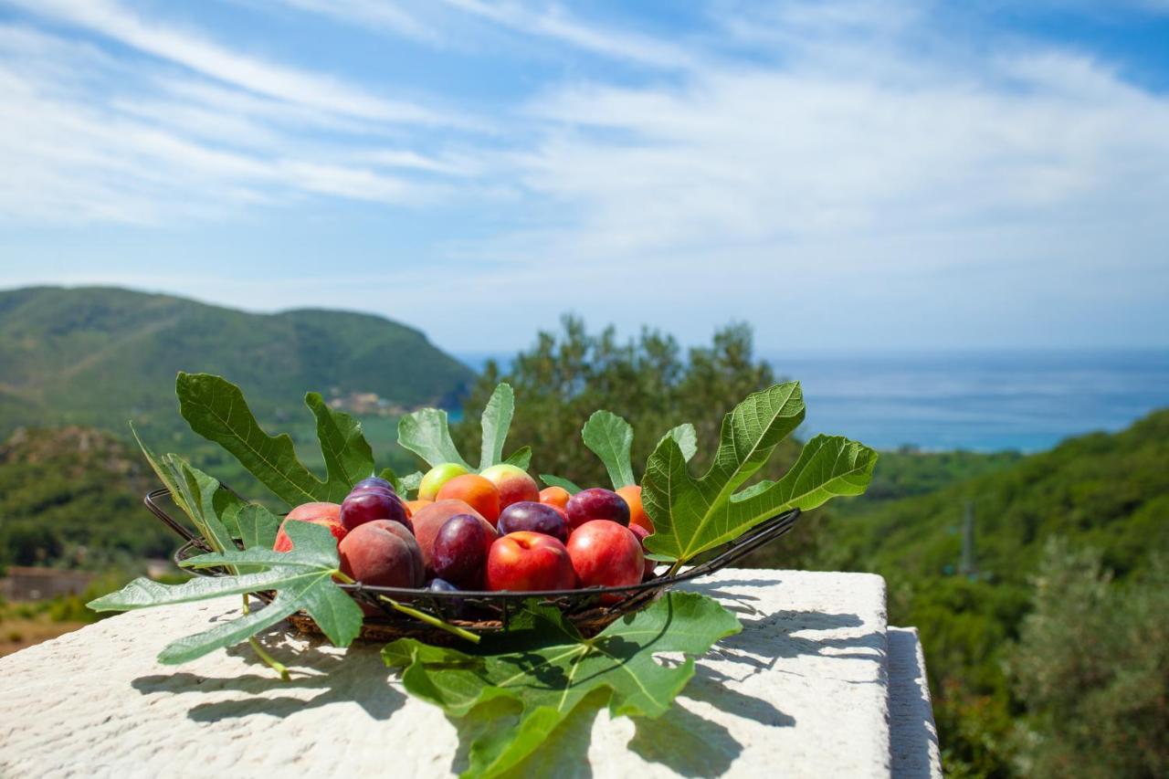 Eco Village Buljarica Budva Eksteriør billede
